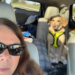 Meet your Posher, Ann-marie